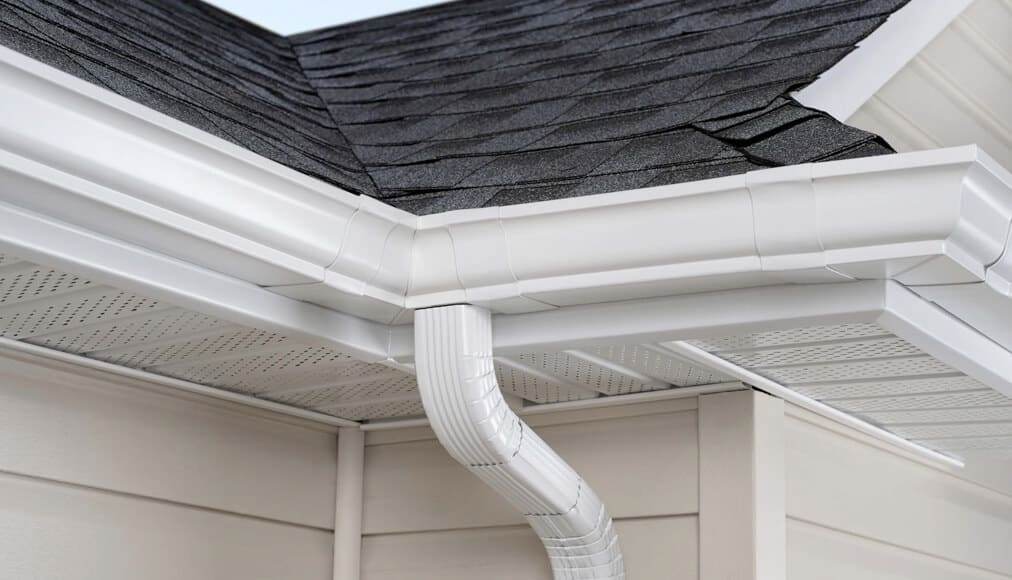 gutter cleaning service